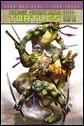 TMNT-Micro-cvr-c06a4