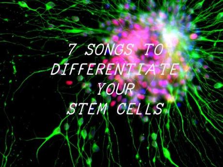 Zhang otx2 tuj1 10 620x465 7 SONGS THAT WILL DIFFERENTIATE YOUR STEM CELLS