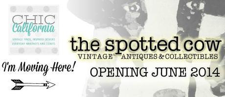 The Chic California Boutique in The Spotted Cow