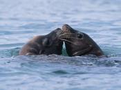 Something Serious Protest