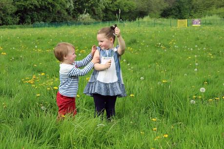 Dandelions