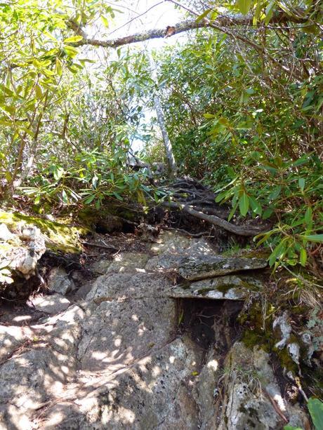 Day 19: A Day With Lead Legs