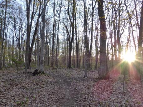 Day 19: A Day With Lead Legs