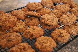 Oat Bran Fruit Chocolate Cookies