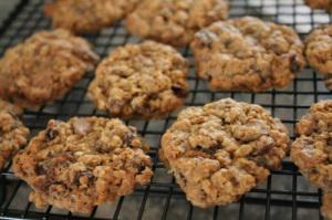 Oat Bran Fruit Chocolate Cookies