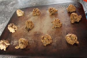 Oat Bran Fruit Chocolate Cookies