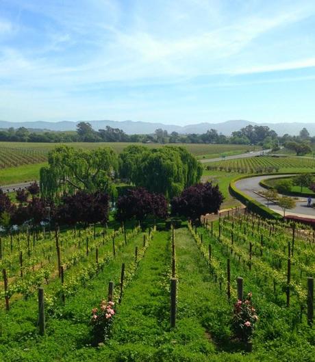 Domaine Carneros … and …  Moments I Will Always Remember