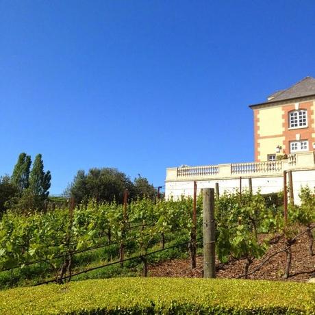 Domaine Carneros … and …  Moments I Will Always Remember