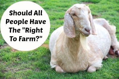 Should All People Have The “Right To Farm?”