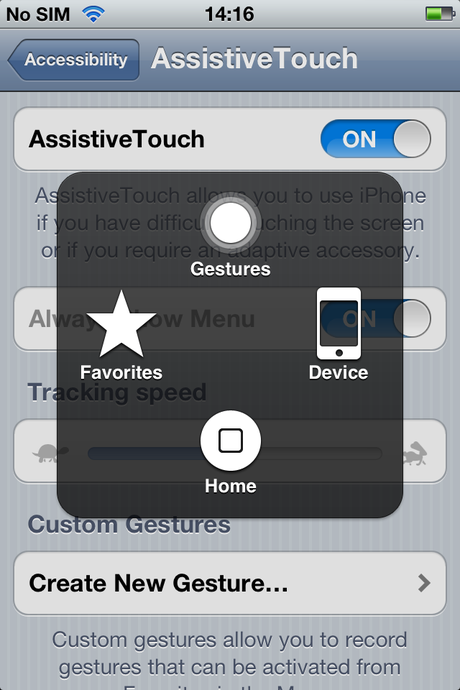 iPhone's Custom Gestures option