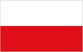 Smart Adserver RTB+ increased Spolecznosci.pl’s win price by 220%