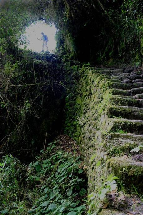 Inca Trail Machu Picchu