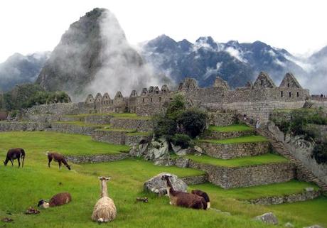 Machu Picchu