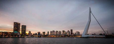 A-panoramic-view-of-Rotterdam-and-its-Erasmus-Bridge