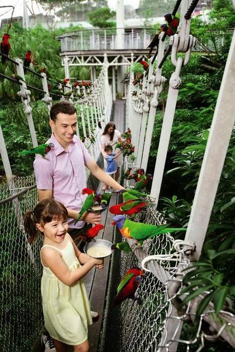 Jurong Bird Park, a must for every bird watcher