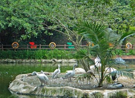 Jurong Bird Park, a must for every bird watcher