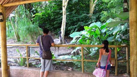 Jurong Bird Park, a must for every bird watcher