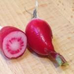 Radish French Breakfast