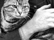 Flying Who’s WWII Hero