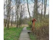 Afternoon Nature Reserve Part