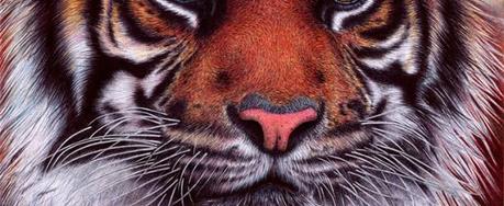 Hyper Realistic Illustrations using Ballpoint Pens