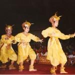 indo yellow dance