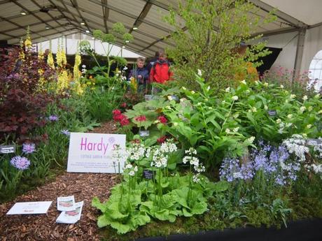 Hardy's Nursery