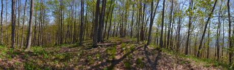 Day 22: Cruisin' With Others