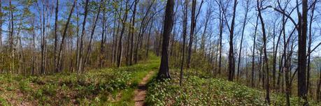 Day 22: Cruisin' With Others