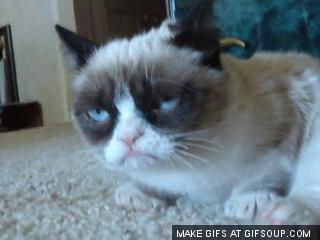 http://gifsoup.com/view/4448853/grumpy-cat-box.html