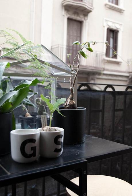 URBAN JUNGLE BLOGGERS | Greenery on the balcony