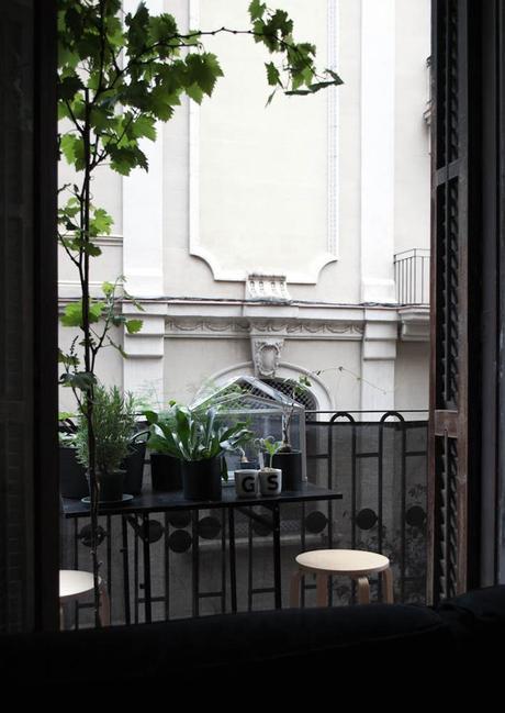 URBAN JUNGLE BLOGGERS | Greenery on the balcony