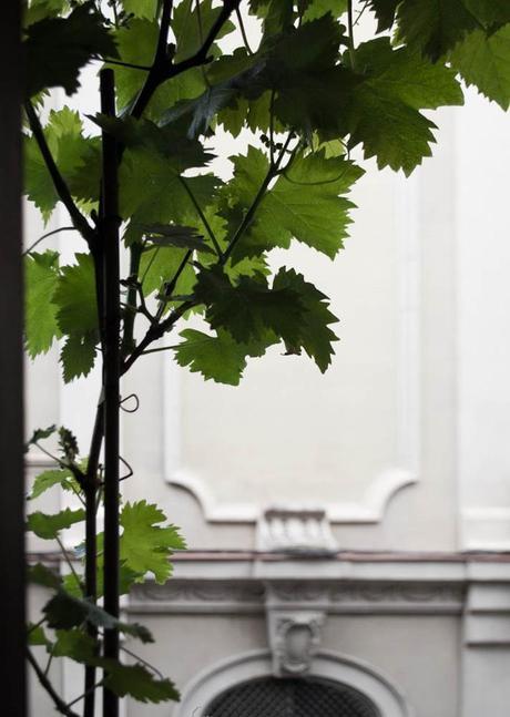 URBAN JUNGLE BLOGGERS | Greenery on the balcony