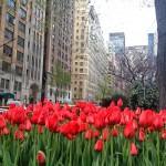 Park Avenue, Midtown