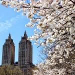 The El Dorado from Central Park.