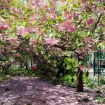 Washington Square Park