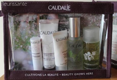 newin caudalie skincare 1