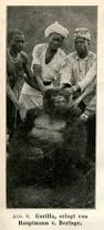 First gorilla shot by Oscar von Beringe in 1902