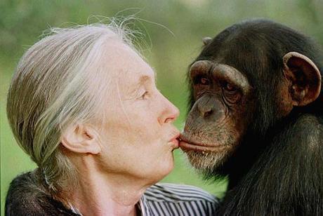 Jane Goodall and chimp