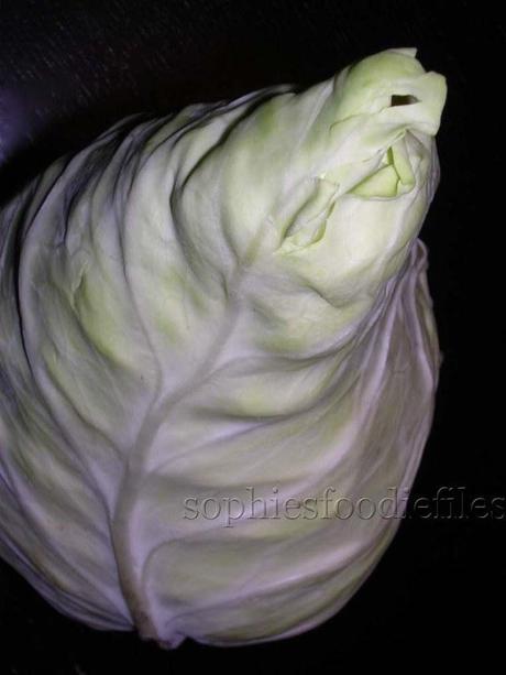 A lovely pointed cabbage!
