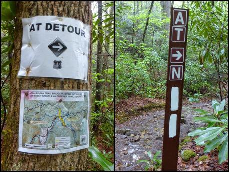 Day 24: Dare I Say It?