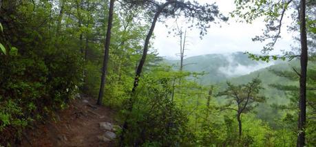 Day 24: Dare I Say It?