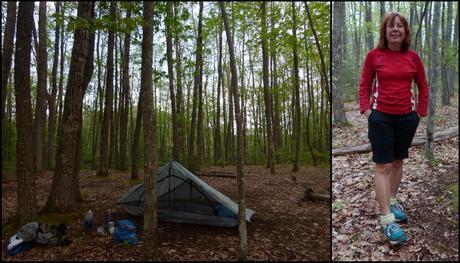 Day 24: Dare I Say It?