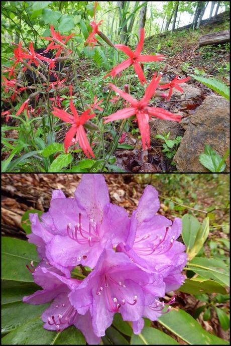 Day 24: Dare I Say It?