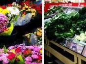 Morrisons Experience