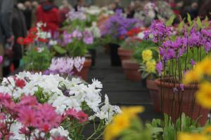 One of the Alpine society show benches