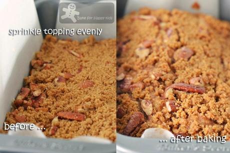 Pecan Streusel Coffee Cake