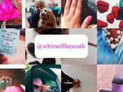 {Whim South Mini Moments}