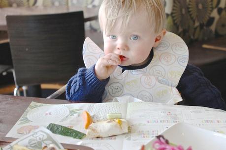 Feeding a One Year Old | The Weaning and Feeding Questionnaire