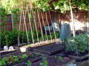 Harvest Monday 12th 2014